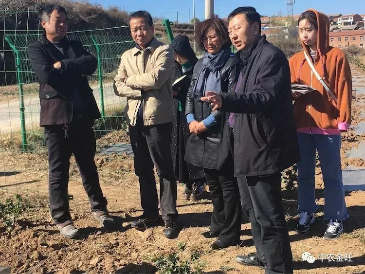 圖片3.jpg
