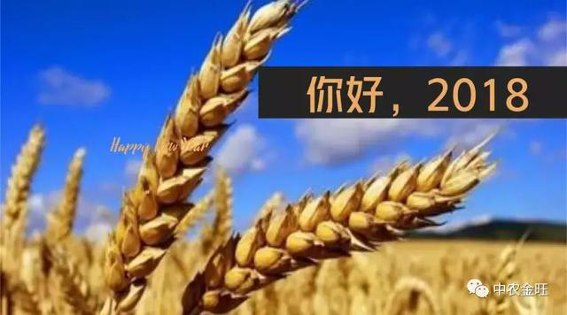 圖片78.png